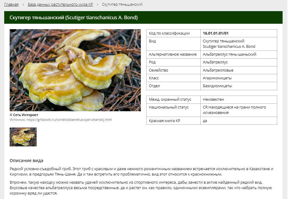 Flora Database